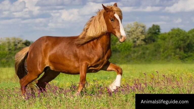 Animals That Eat Celery