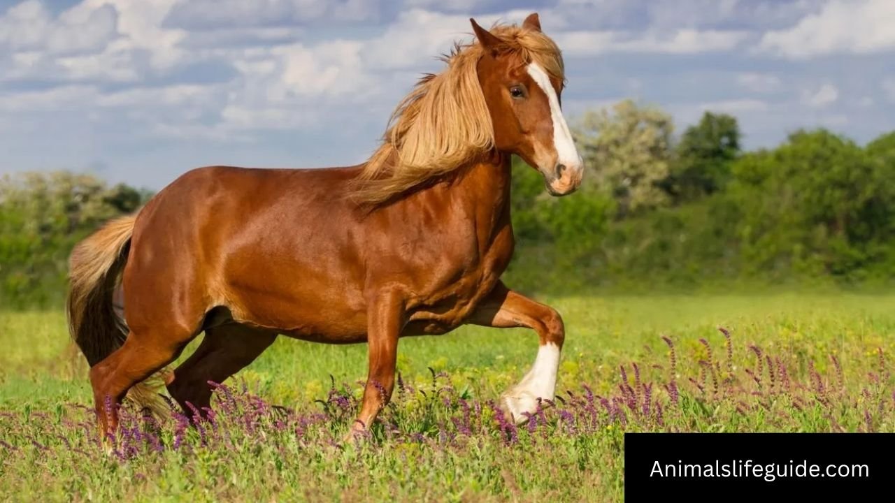 Animals That Eat Celery