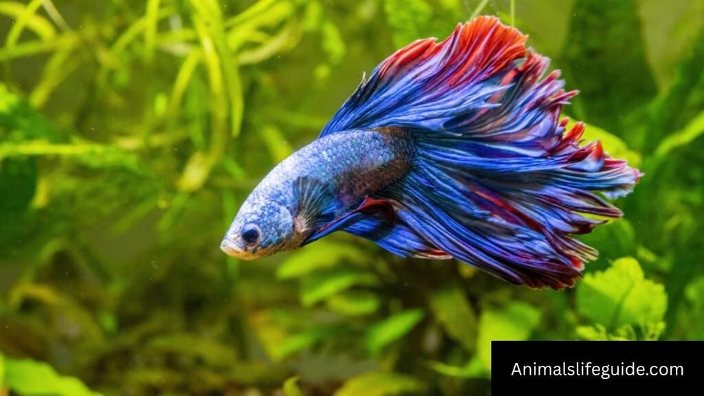 5 letter animal name