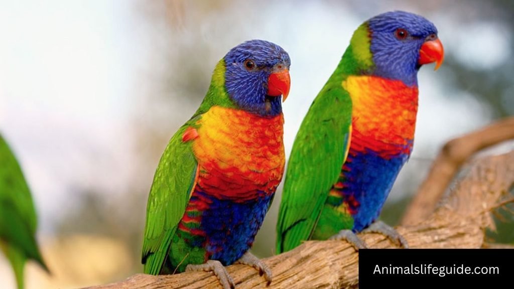 animals that have 6 letters
